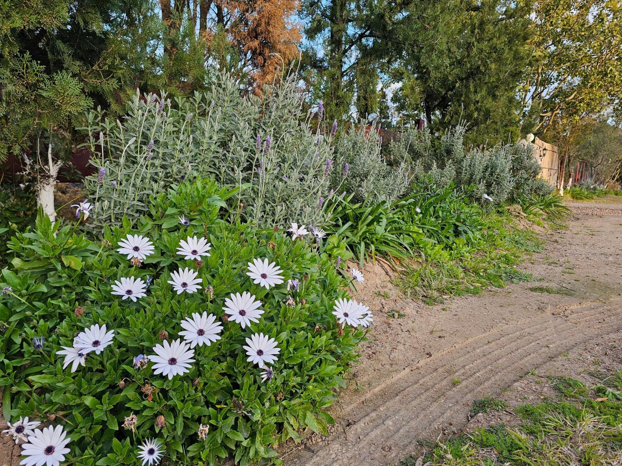 Gowrie Agapanthus Apartman Singleton Kültér fotó